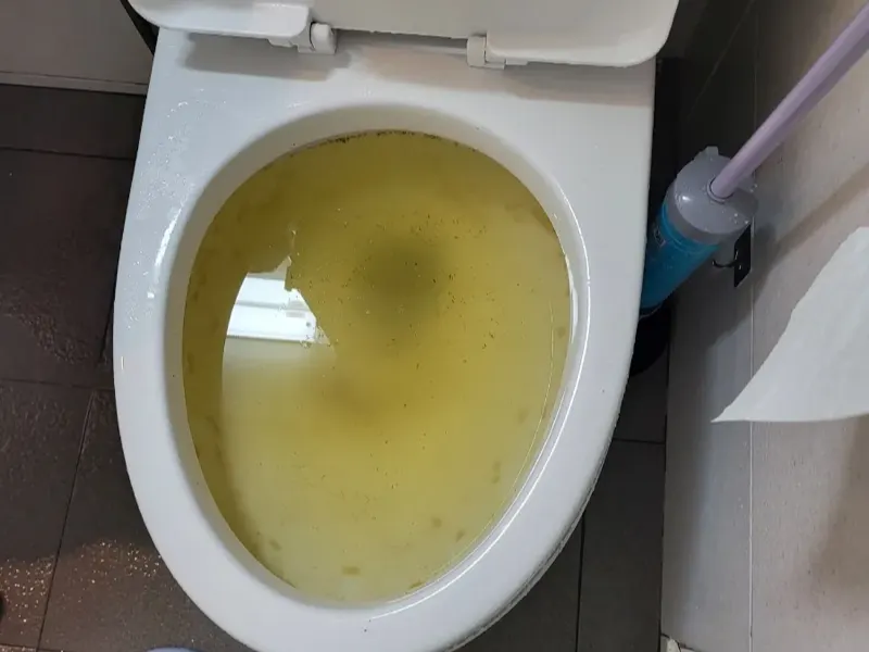 부산 강서구 변기막힘 작업사례 5
